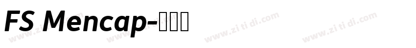 FS Mencap字体转换